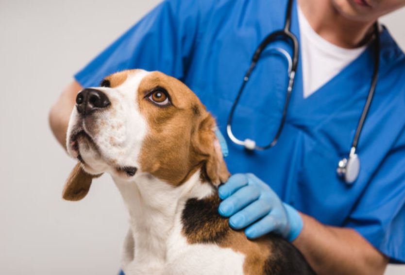 προληπτικός έλεγχος